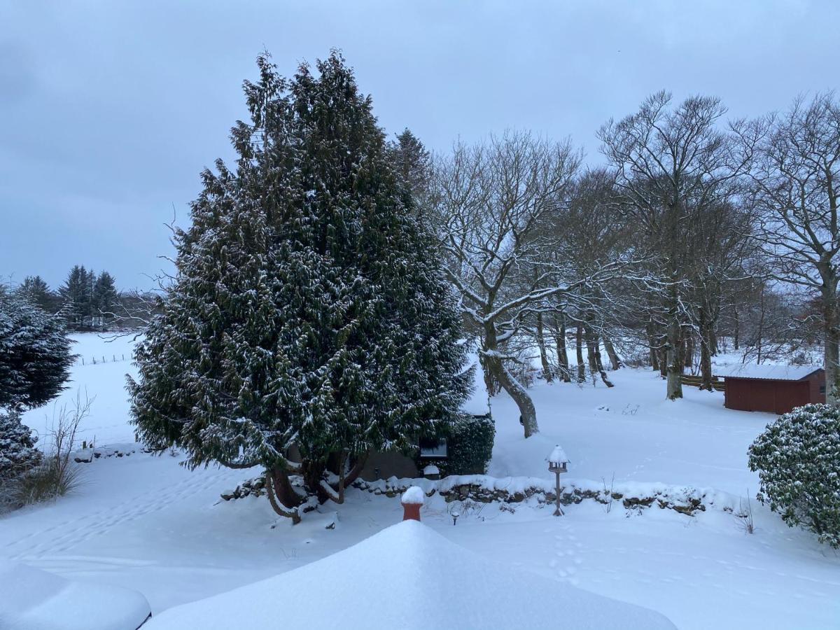 Serene Countryside Home With Manicured Gardens Stonehaven Esterno foto